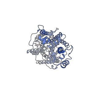 31732_7v61_A_v1-0
ACE2 -Targeting Monoclonal Antibody as Potent and Broad-Spectrum Coronavirus Blocker