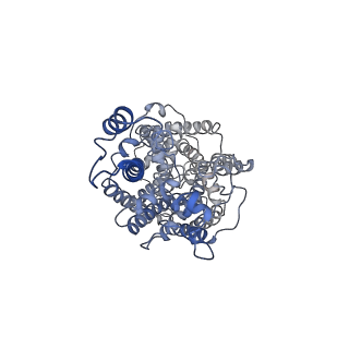 31732_7v61_C_v1-0
ACE2 -Targeting Monoclonal Antibody as Potent and Broad-Spectrum Coronavirus Blocker