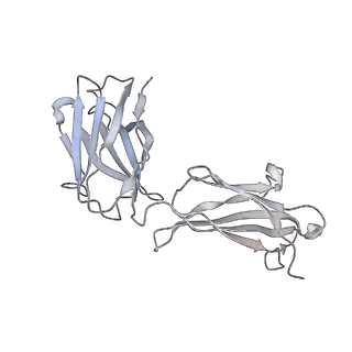 31732_7v61_H_v1-0
ACE2 -Targeting Monoclonal Antibody as Potent and Broad-Spectrum Coronavirus Blocker