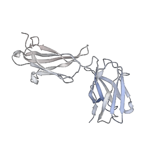 31732_7v61_I_v1-0
ACE2 -Targeting Monoclonal Antibody as Potent and Broad-Spectrum Coronavirus Blocker