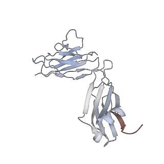 31732_7v61_K_v1-0
ACE2 -Targeting Monoclonal Antibody as Potent and Broad-Spectrum Coronavirus Blocker