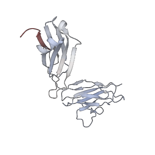 31732_7v61_M_v1-0
ACE2 -Targeting Monoclonal Antibody as Potent and Broad-Spectrum Coronavirus Blocker