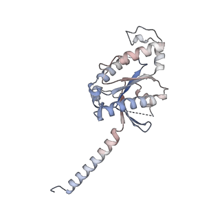 31738_7v68_A_v1-1
An Agonist and PAM-bound Class A GPCR with Gi protein complex structure