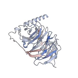 31738_7v68_B_v1-1
An Agonist and PAM-bound Class A GPCR with Gi protein complex structure