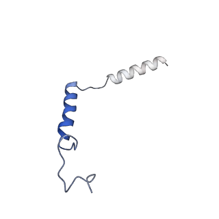 31738_7v68_C_v1-1
An Agonist and PAM-bound Class A GPCR with Gi protein complex structure