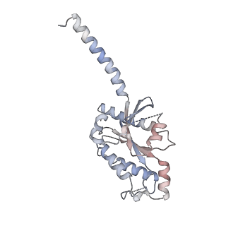 31739_7v69_A_v1-1
Cryo-EM structure of a class A GPCR-G protein complex