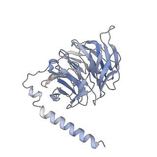 31739_7v69_B_v1-1
Cryo-EM structure of a class A GPCR-G protein complex