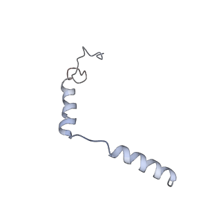 31739_7v69_C_v1-1
Cryo-EM structure of a class A GPCR-G protein complex