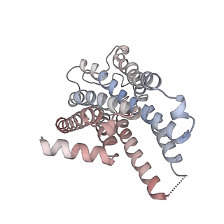 31739_7v69_R_v1-1
Cryo-EM structure of a class A GPCR-G protein complex