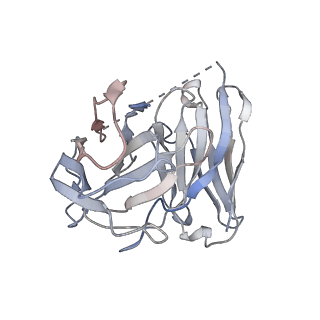 31739_7v69_S_v1-1
Cryo-EM structure of a class A GPCR-G protein complex