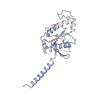 31740_7v6a_A_v1-1
Cry-EM structure of M4-c110-G protein complex