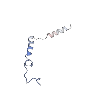 31740_7v6a_C_v1-1
Cry-EM structure of M4-c110-G protein complex