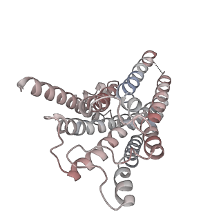 31740_7v6a_R_v1-1
Cry-EM structure of M4-c110-G protein complex