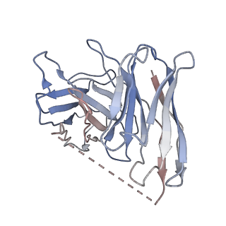 31740_7v6a_S_v1-1
Cry-EM structure of M4-c110-G protein complex