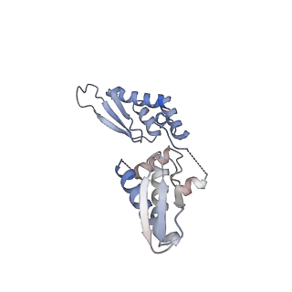 31741_7v6b_B_v1-3
Structure of the Dicer-2-R2D2 heterodimer