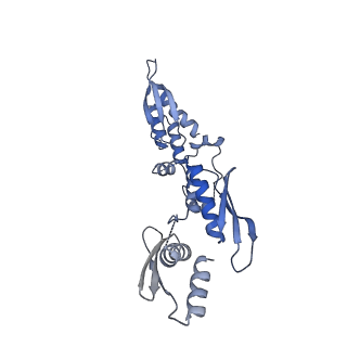 31742_7v6c_B_v1-3
Structure of the Dicer-2-R2D2 heterodimer bound to small RNA duplex