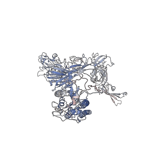 31743_7v6n_A_v1-0
MERS S ectodomain trimer in complex with neutralizing antibody 111 state1