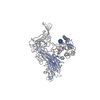 31743_7v6n_C_v1-0
MERS S ectodomain trimer in complex with neutralizing antibody 111 state1