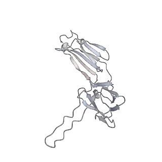 31743_7v6n_E_v1-0
MERS S ectodomain trimer in complex with neutralizing antibody 111 state1