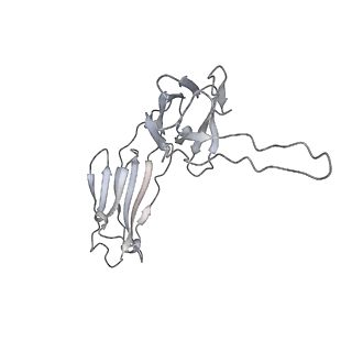 31743_7v6n_I_v1-0
MERS S ectodomain trimer in complex with neutralizing antibody 111 state1