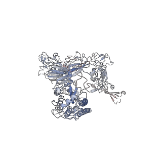 31744_7v6o_A_v1-0
MERS S ectodomain trimer in complex with neutralizing antibody 111 (state 2)