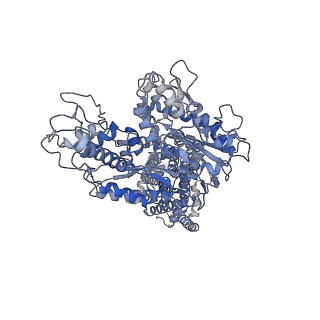31753_7v6y_A_v1-1
Cryo-EM structure of Patched in lipid nanodisc - the wildtype, 3.5 angstrom (re-processed with dataset of 7dzq)