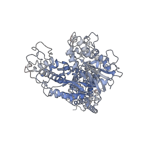 31754_7v6z_A_v1-1
Cryo-EM structure of Patched1 (V1084A mutant) in lipid nanodisc, 3.64 angstrom (reprocessed with the dataset of 7dzp)