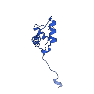 43002_8v6v_B_v1-0
Cryo-EM structure of doubly-bound SNF2h-nucleosome complex