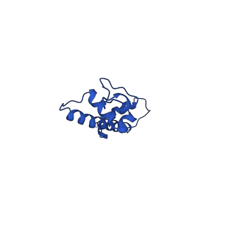 43002_8v6v_C_v1-0
Cryo-EM structure of doubly-bound SNF2h-nucleosome complex