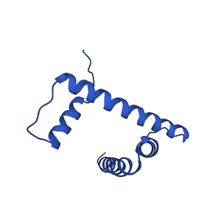 43002_8v6v_D_v1-0
Cryo-EM structure of doubly-bound SNF2h-nucleosome complex