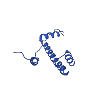 43002_8v6v_E_v1-0
Cryo-EM structure of doubly-bound SNF2h-nucleosome complex