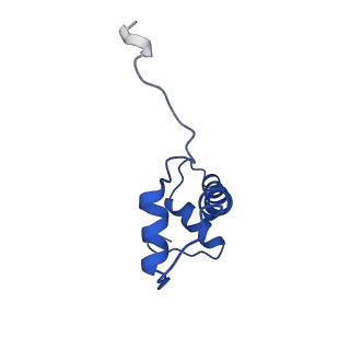 43002_8v6v_F_v1-0
Cryo-EM structure of doubly-bound SNF2h-nucleosome complex