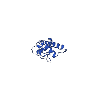 43002_8v6v_G_v1-0
Cryo-EM structure of doubly-bound SNF2h-nucleosome complex