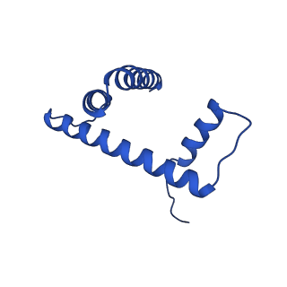 43002_8v6v_H_v1-0
Cryo-EM structure of doubly-bound SNF2h-nucleosome complex