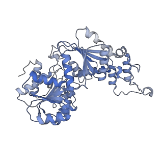 43002_8v6v_X_v1-0
Cryo-EM structure of doubly-bound SNF2h-nucleosome complex