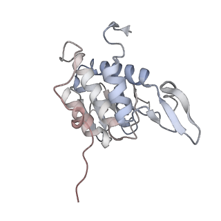 5592_4v6x_AA_v1-5
Structure of the human 80S ribosome