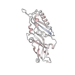 5592_4v6x_AB_v1-5
Structure of the human 80S ribosome
