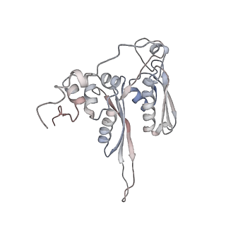 5592_4v6x_AC_v1-5
Structure of the human 80S ribosome