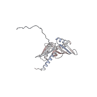 5592_4v6x_AD_v1-5
Structure of the human 80S ribosome