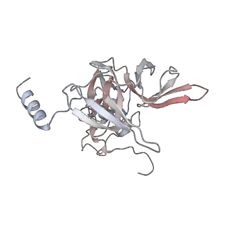 5592_4v6x_AE_v1-5
Structure of the human 80S ribosome