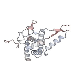5592_4v6x_AF_v1-5
Structure of the human 80S ribosome