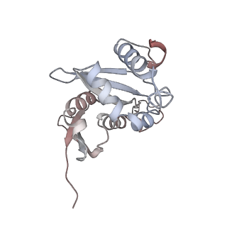 5592_4v6x_AH_v1-5
Structure of the human 80S ribosome