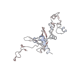5592_4v6x_AI_v1-5
Structure of the human 80S ribosome