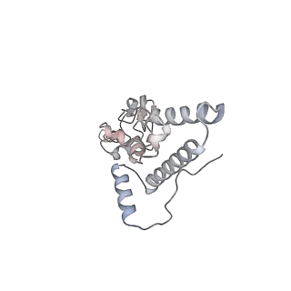 5592_4v6x_AJ_v1-5
Structure of the human 80S ribosome