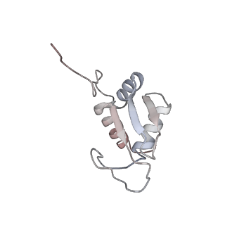 5592_4v6x_AK_v1-5
Structure of the human 80S ribosome