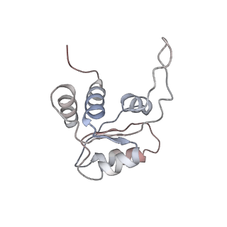 5592_4v6x_AM_v1-5
Structure of the human 80S ribosome