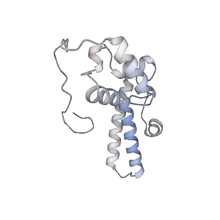 5592_4v6x_AN_v1-5
Structure of the human 80S ribosome
