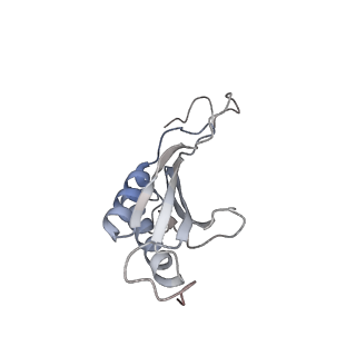 5592_4v6x_AO_v1-5
Structure of the human 80S ribosome