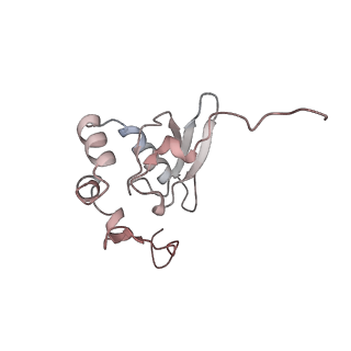 5592_4v6x_AP_v1-5
Structure of the human 80S ribosome