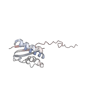 5592_4v6x_AQ_v1-5
Structure of the human 80S ribosome